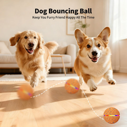 Remote Control Waterproof Dog Toy Ball