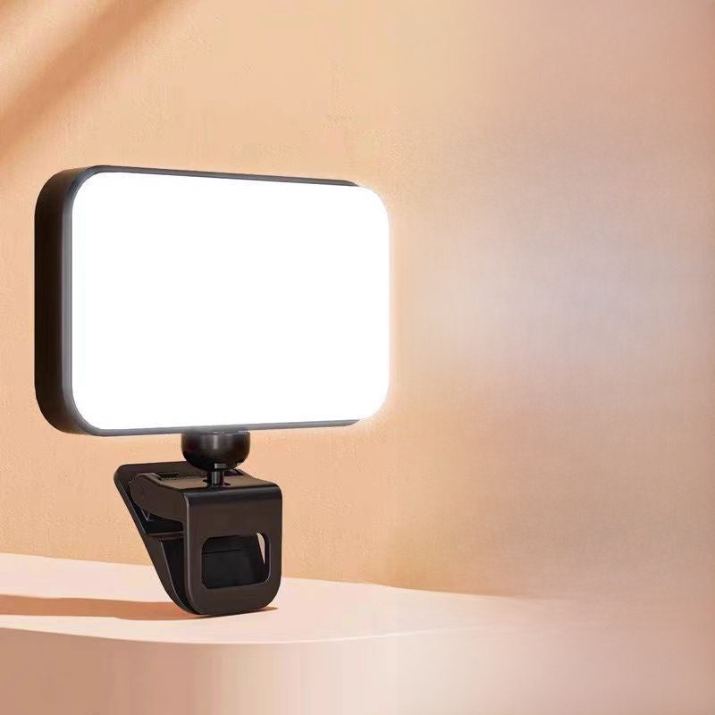 Portable pocket fill light