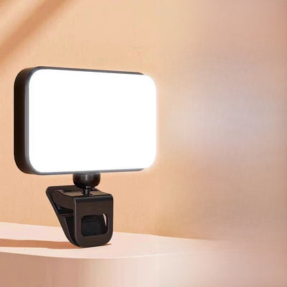 Portable pocket fill light