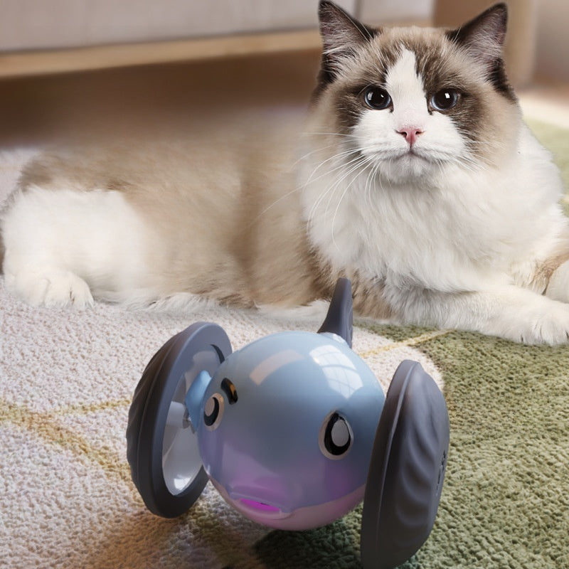 Interactive Electric Cat Toy Car