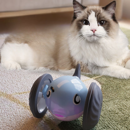 Interactive Electric Cat Toy Car
