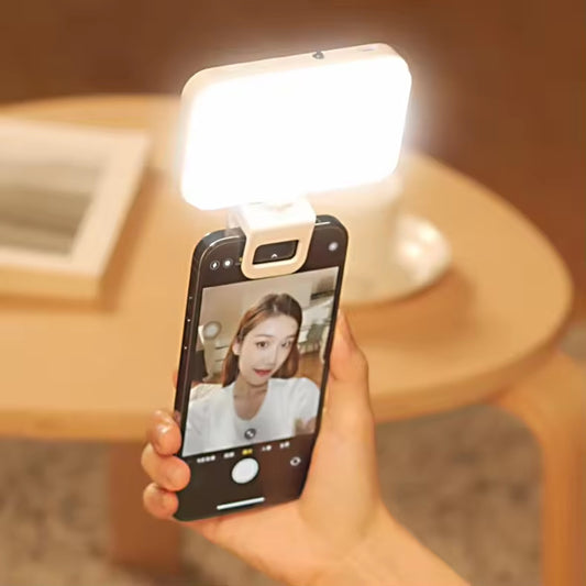 Portable pocket fill light