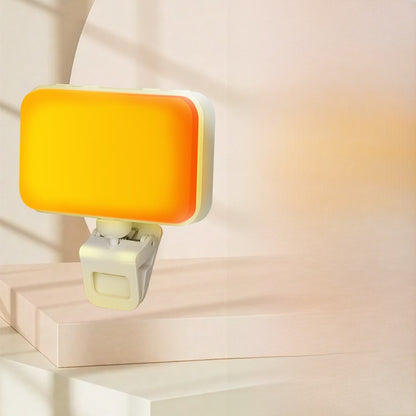 Portable pocket fill light