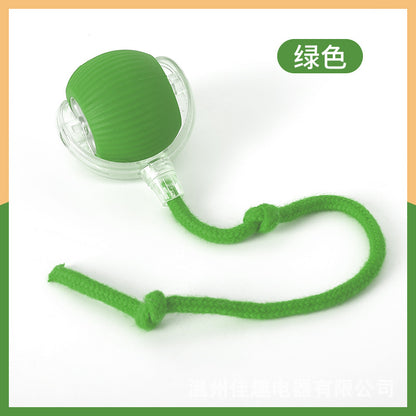 Remote Control Electric Cat Toy with Automatic Movement