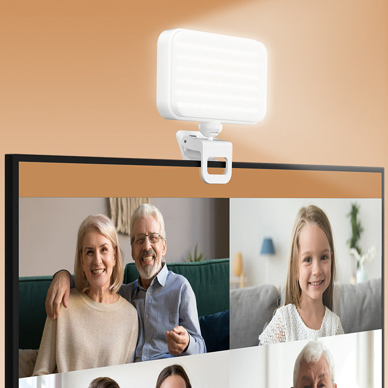 Portable pocket fill light