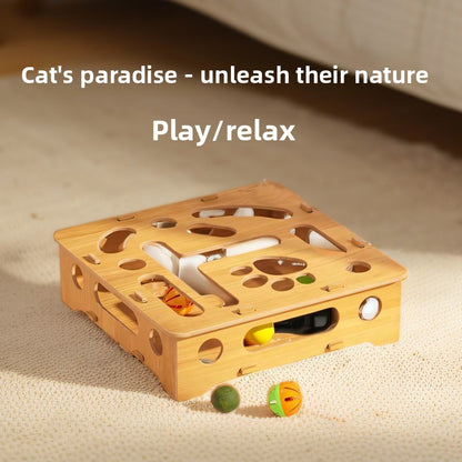 Cat Toy Maze Ball Pulling Fun