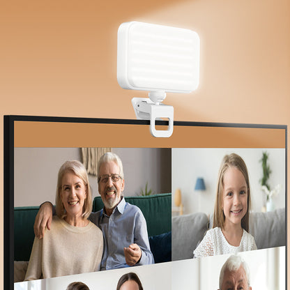 Portable pocket fill light