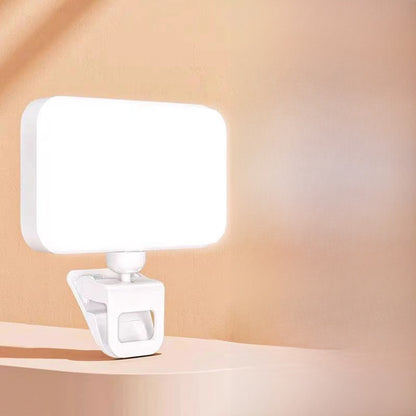 Portable pocket fill light